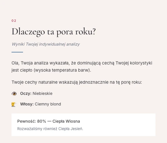 Strona raportu 3